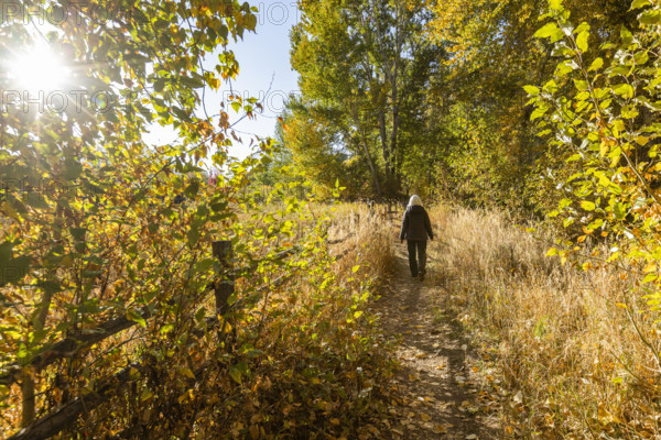 USA, Idaho, Bellevue, Rear view of woman walking on rural trail in autumn