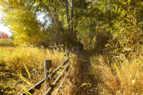 USA, Idaho, Bellevue, Footpath in rural landscape on sunny autumn day