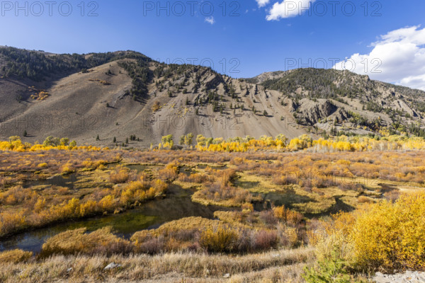 USA, Idaho, Sun Valley, Beaver Ponds along Trail Creek in autumn
