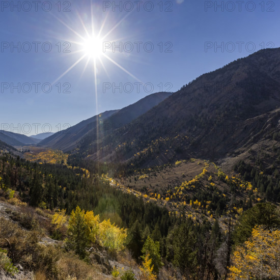 USA, Idaho, Sun Valley, Autumn colors in Trail Creek drainage