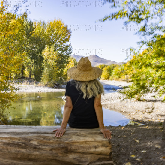 USA, Idaho, Bellevue, Rear view of woman on riverside tree trunk