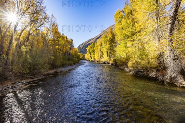 USA, Idaho, Hailey, Big Wood River on sunny day in autumn