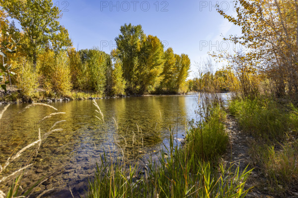 USA, Idaho, Bellevue, Calm Big Wood River in autumn