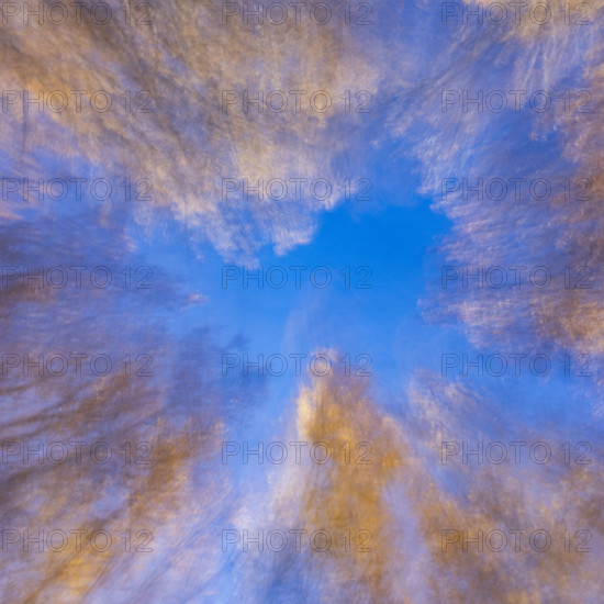 Low angle view of trees against sky motion blur