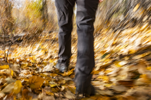 Legs of female hiker walking on trail in autumn