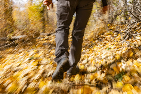 Legs of female hiker walking on trail in autumn