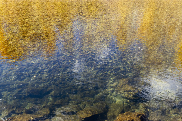 Autumn foliage reflected in Big Wood River