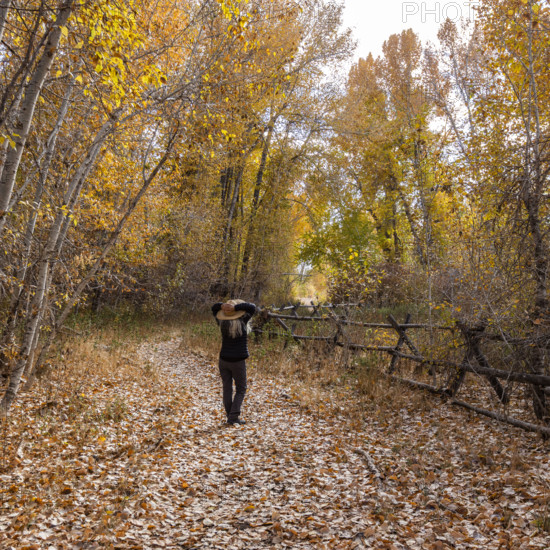 USA, Idaho, Bellevue, Rear view of woman on footpath in forest in autumn