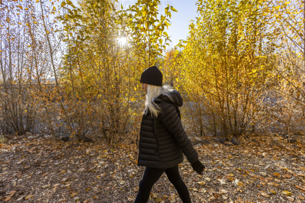 USA, Idaho, Bellevue, Woman walking in forest in autumn