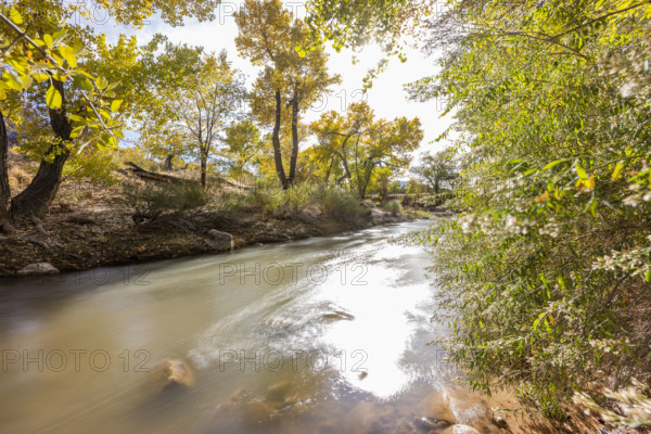 USA, Utah, Springdale, Virgin River and trees on sunny day, motion blur