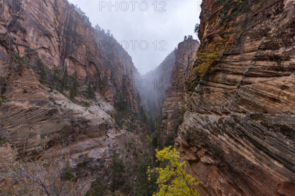 USA, Utah, Zion National Park, Zion Canyon rock formations in fog
