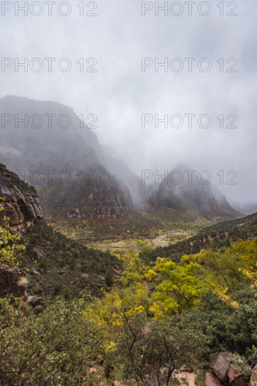 USA, Utah, Zion National Park, Gray clouds covering Zion Canyon during snowstorm