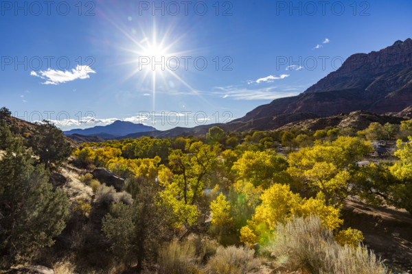 USA, Utah, Springdale, Sun shining above Virgin River and trees