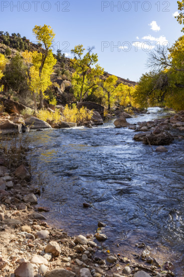 USA, Utah, Springdale, Virgin River and trees on sunny day
