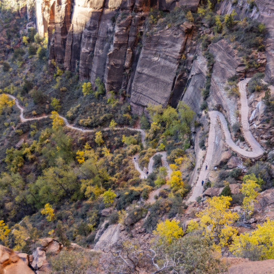 USA, Utah, Zion National Park, High angle view of trail to Angels Landing