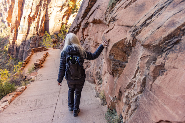 USA, Utah, Zion National Park, Rear view of female hiker touching sandstone cliff on trail to Angels Landing