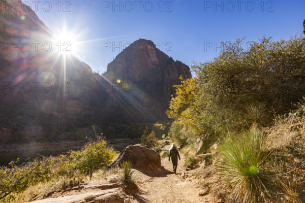 USA, Utah, Zion National Park, Rear view of female hiker on trail to Angels Landing