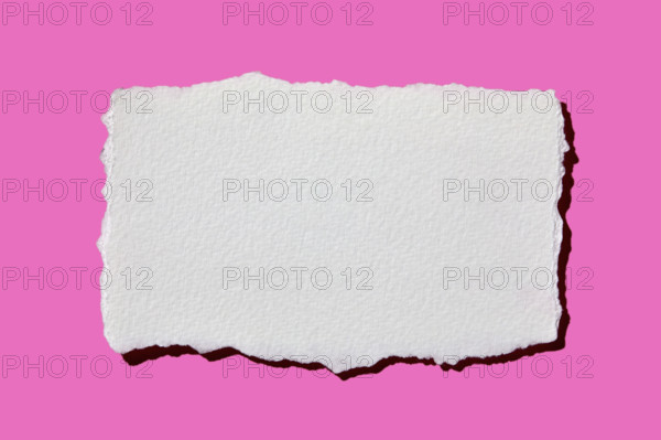 Blank torn paper on pink background