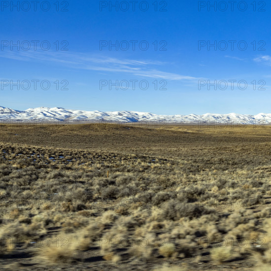 USA, Idaho, Bellevue, Grassy field with snow covered mountains in distance