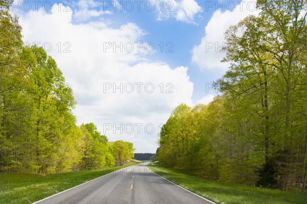 USA, Tennessee, Primm Springs, Empty treelined Natchez Trace Parkway in summer