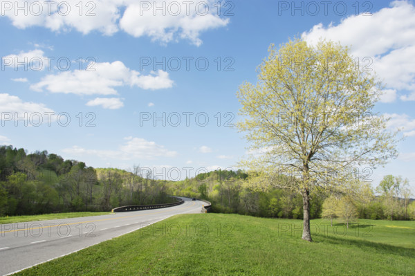 USA, Tennessee, Franklin, Empty Natchez Trace Parkway in spring