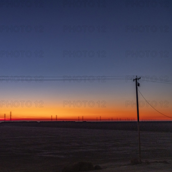 USA, California, Kettleman City, Telephone pole in field at sunrise