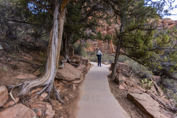 USA, Utah, Zion National Park, Senior blond hiker on hiking path to Angels Landing