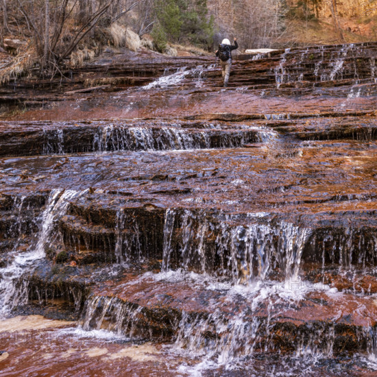 USA, Utah, Rear view of female hiker crossing creek in Zion National Park