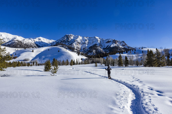 USA, Idaho, Sun Valley, Rear view of woman snowshoeing in Sun Valley on sunny day