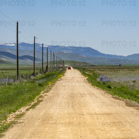 Empty dirt road crossing Camas Prairie. Fairfield, Idaho, USA.