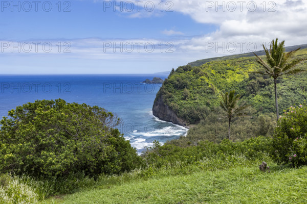 Green tropical island and sea. Kona, Hawaii, USA.