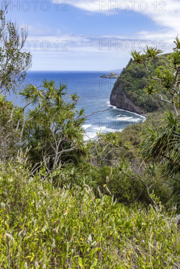 Green tropical island and sea. Kona, Hawaii, USA.
