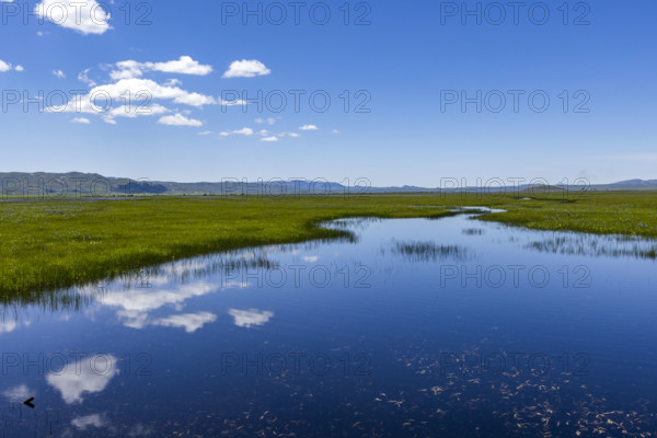 Camas Prairie wetlands in Spring. Fairfield, Idaho, USA.