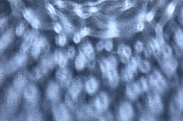 Dappled light on blue background. New York City, New York State, USA.
