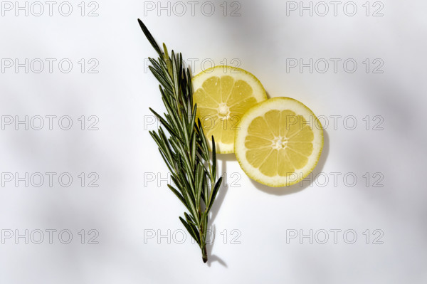 Rosemary and sliced lemon on white background. New York City, New York State, USA.