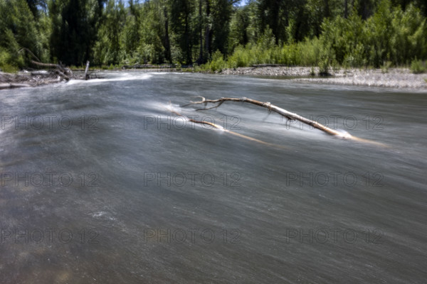 Bare branch in river, motion blurred. Bellevue, Idaho, USA.