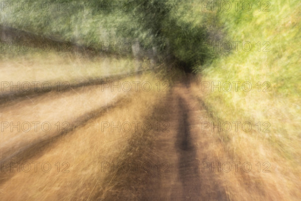 Rail fence along path to forest, motion blurred. Bellevue, Idaho, USA.