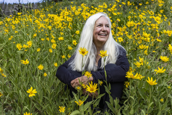 Portrait of senior blonde woman in field of Arrowleaf Balsamroot wildflowers. Sun Valley, Idaho, USA.