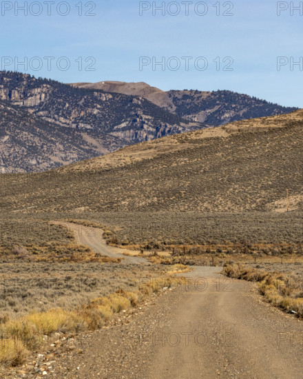 Empty rural dirt road over Trail Creek Pass. Mackay, Idaho, USA.