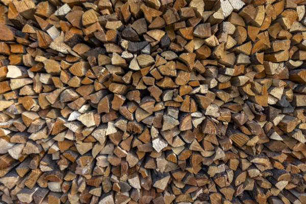 Close-up of firewood stacked for winter. Bellevue, Idaho, USA.