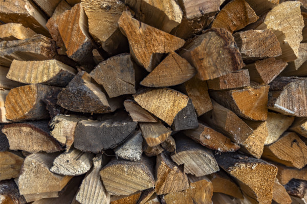 Close-up of firewood stacked for winter. Bellevue, Idaho, USA.