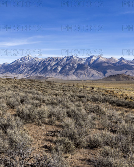 Field with Big Lost Range in distance. Mackay, Idaho, USA.