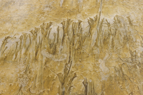 Abstract patterns on beach sand. , Guanacaste, Costa Rica.