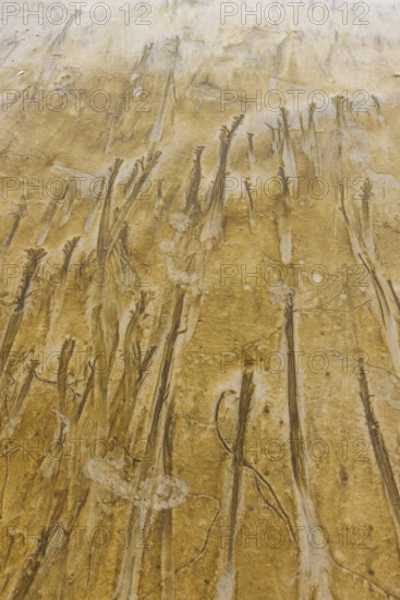 Abstract patterns on beach sand. , Guanacaste, Costa Rica.