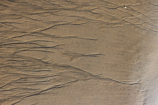 Abstract patterns on beach sand. , Guanacaste, Costa Rica.