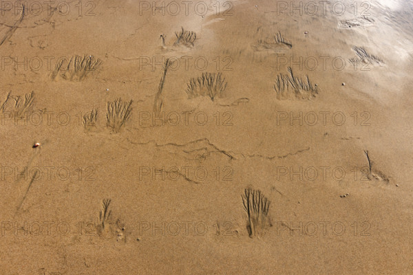 Abstract patterns on beach sand. , Guanacaste, Costa Rica.