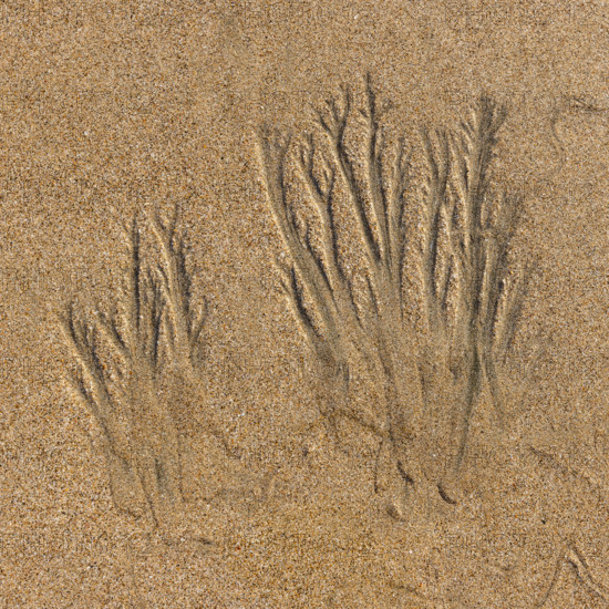 Abstract patterns on beach sand. , Guanacaste, Costa Rica.