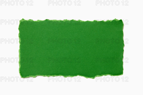 Green torn paper on white background. New York City, New York State, USA.
