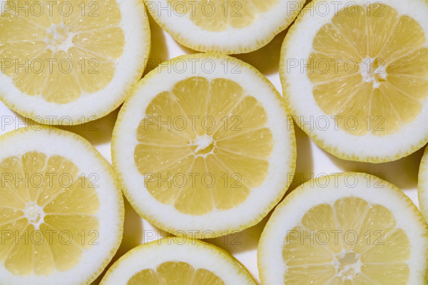 Close-up of sliced lemons on white background. New York City, New York State, USA.