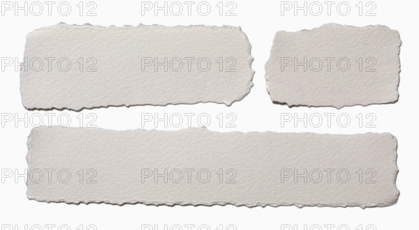 Pieces of torn paper on white background. New York City, New York State, USA.